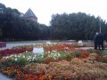 Изображение #302