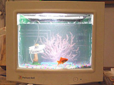 Рыбы, живущие в мониторе, или необычный моддинг!