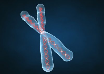 23andme.com – генетическая социальная сеть