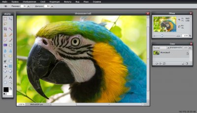 Фишап представляет новый сервис: онлайн редактор фотографий
