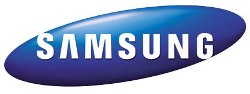 Новое имя Samsung N310