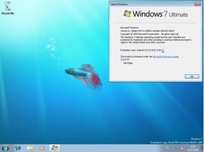 Очередная сбежавшая Windows 7 может оказаться релиз-кандидатом