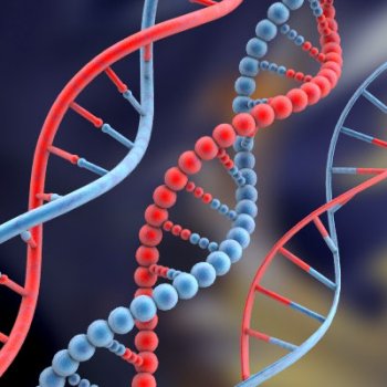 Молекулы ДНК можно использовать как оптоволоконные передатчики