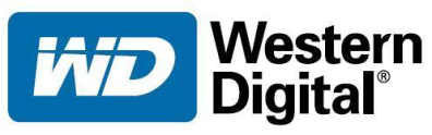 Western Digital может войти на рынок SSD-дисков