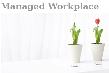 Fujitsu Managed Workplace – услуга для корпоративных клиентов