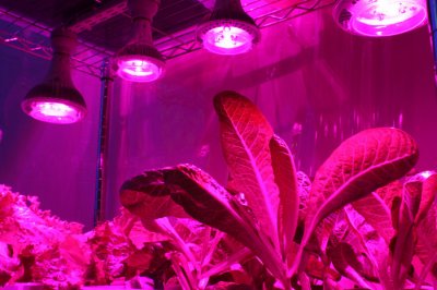 GlacialLight Grow Light – лампы для садоводов