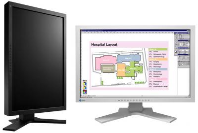 Flexscan SX2461W-U: нарушения цветового зрения – не помеха