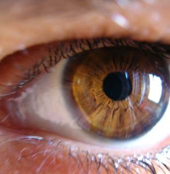 Фолиевая кислота и витамины группы B помогают сохранить зрение