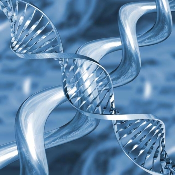 Методы определения естественного отбора в ДНК – ошибочны