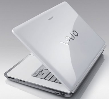 Chrome выбран в качестве основного браузера для Vaio