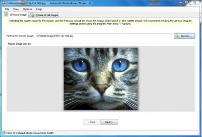 Artensoft Photo Mosaic Wizard 1.0 для создания фотомозаики