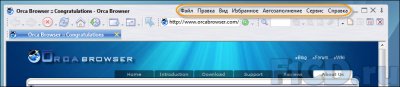 Orca Browser 1.1
