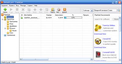 FlashGet 1.9.6